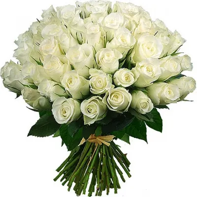 Открытки для женщины с днем рождения с цветами - белыми розами. С юмором с  Дне рождения скачать