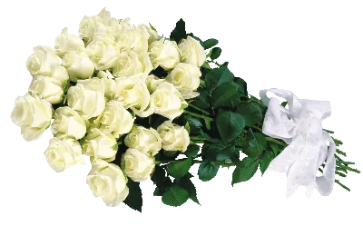 Купить с днем рождения белые розы 25 роз DF-260 с доставкой заказать с днем  рождения белые розы 25 роз в ❤ДеФлор