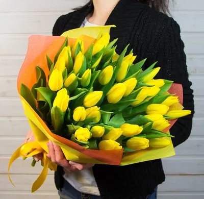 Купить фотообои \"Желтые тюльпаны\" в интернет-магазине в Москве