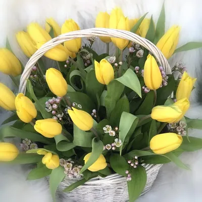 Фиолетовые и желтые тюльпаны 51 шт. купить с доставкой в Москве. Цена от  8415 ₽