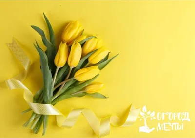 Желтые тюльпаны в корзине стоковое фото. изображение насчитывающей тюльпаны  - 68133866