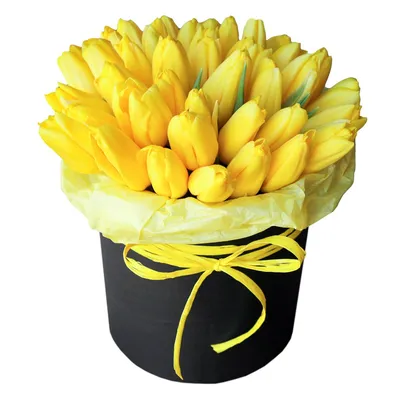 Желтые тюльпаны в фирменной коробке №176 – купить в Тюмени по цене 5 430  руб. руб.