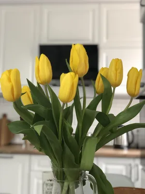 Яркие желтые тюльпаны» — создано в Шедевруме