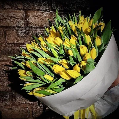 Желтые тюльпаны, цветы в интерьере, белая кухня, | Tulipas