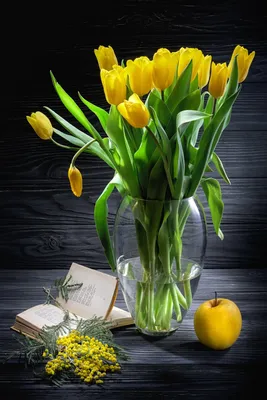Букет 25 желтых тюльпанов | доставка по Москве и области