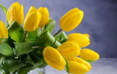Желтые тюльпаны в корзине купить в Москве по цене 6790₽ | Арт. 104-847