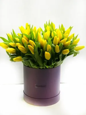 Заказать красно желтые тюльпаны FL-2294 купить - хорошая цена на красно желтые  тюльпаны с доставкой - FLORAN.com.ua