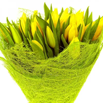 Купить Желтые тюльпаны №160 в Москве недорого с доставкой