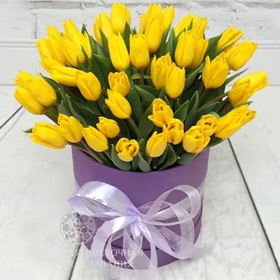 Купить «Желтые тюльпаны» с доставкой в Адлере - «Floral24»