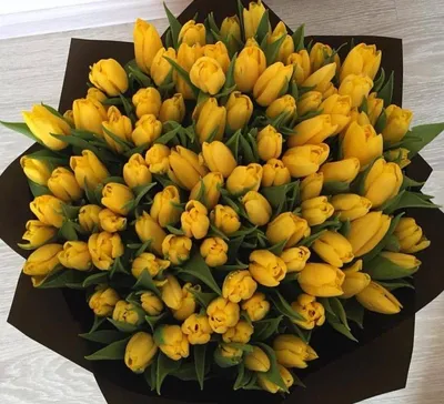 Желтые тюльпаны в Москве