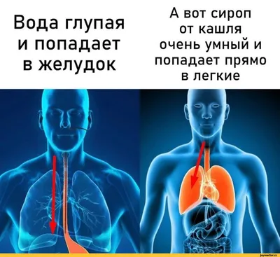 УЗИ ЖКТ при онкологических и воспалительных заболеваниях - УЗИ в  Новокузнецке