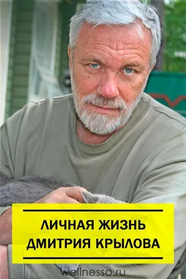Личная жизнь Дмитрия Крылова | Телеведущий, Красивые знаменитости,  Знаменитости