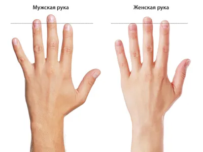 Фото рук, которые отражают нашу личность