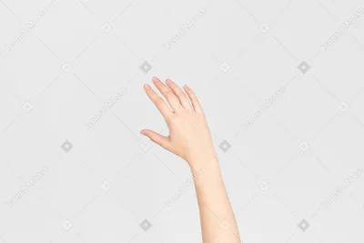 Рука женщины в формате WebP