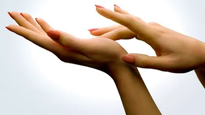 Женская рука на фото: элегантность и изящество