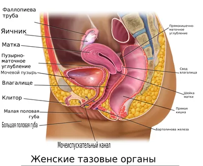 Модные женские шарфы 2023-2024 (100 фото): модели, тенденции, новинки,  советы стилиста для женщин