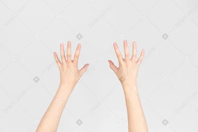 Красивые женские руки на изображении