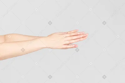 Изображение женских рук в ретро стиле