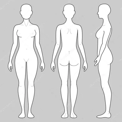 Женское тело с трех ракурсов — стоковая иллюстрация | Figuras de la moda,  Perfil de mujer dibujo, Silueta del cuerpo humano