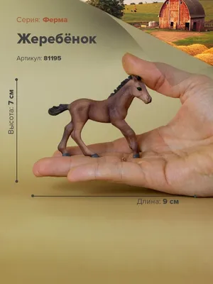 SCHLEICH HORSE CLUB Жеребенок тракененской лошади (13944S) - Schleich -  Игрушки и игры для детей - Детский мир - Каталог - Pokupka.lv