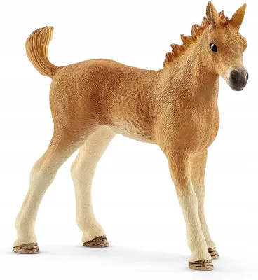 Фигурки Schleich Набор Horse Club Care лошадь + жеребенок 42432/природа/  игрушки для детей/ купить в Москве | Доставка по России.