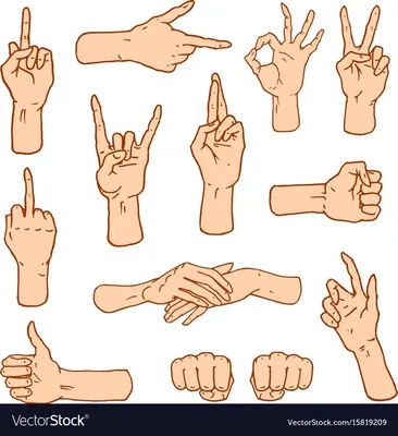 Психология жестов | Психолог Марина Володина | Дзен