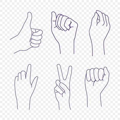 Фото жестов рук в формате PNG
