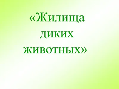 Самые необычные жилища насекомых и животных » 24Warez.ru - Эксклюзивные  НОВИНКИ и РЕЛИЗЫ