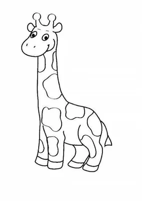 Фигурка животного Collecta Сетчатый жираф купить по цене 788 ₽ в  интернет-магазине Детский мир