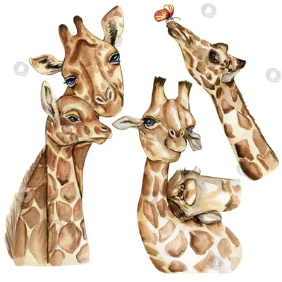 жираф, мультяшный жираф, мультяшное животное, животное, png | PNGEgg