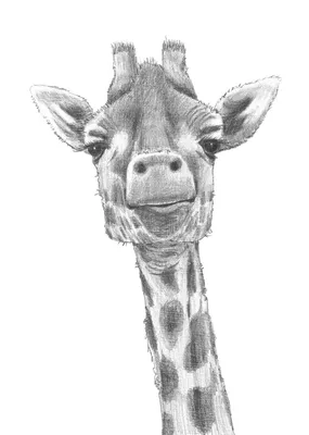 Милый мультяшный жираф в песочнице…» — создано в Шедевруме