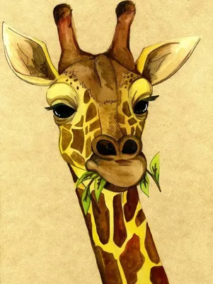 Нарисованный мультяшный жираф - 62 фото