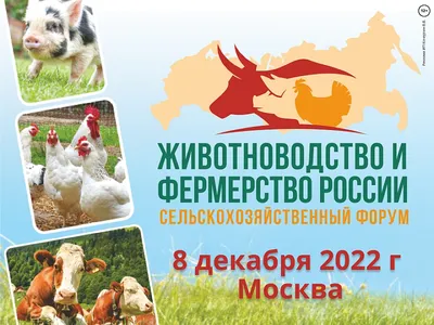 Органическое животноводство, Насатуев Б.Д., Издательство Лань, 2023 г. -  купить книгу, читать онлайн ознакомительный фрагмент