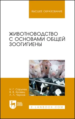 Принцип 4К. Секрет успеха молочного животноводства раскрыл эксперт из СКО