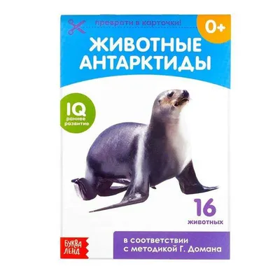 Животный мир Арктики и Антарктики. Жизнь во льдах « Животные нашей планеты.  Наборы репродукций с игровым приложением « В помощь учителю « Учколлектор «  Интернет-магазин « Воскресный день