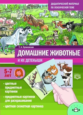 Домашние животные и их детёныши – купить по цене: 143,10 руб. в  интернет-магазине УчМаг