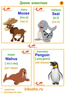 английский алфавит животные картинки - Поиск в Google | Animal alphabet  printable, Cartoons zoo, Animal alphabet letters