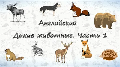 Иллюстрация 1 из 18 для Демонстрационные картинки \"Животные жарких стран\"  (173х220 мм) - Татьяна Цветкова | Лабиринт -