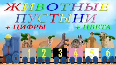 Купить книгу «Атлас животных в картинках. Путешествие вокруг света»,  Элеонора Барсотти | Издательство «Махаон», ISBN: 978-5-389-23516-8