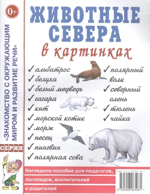 Животные севера Степанов В. - купить с доставкой на дом в СберМаркет