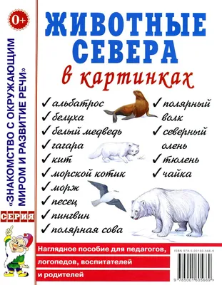 Животные севера: 12 развивающих карточек с красочными картинками, стихами и  загадками для занятий с детьми – купить по цене: 99 руб. в  интернет-магазине УчМаг