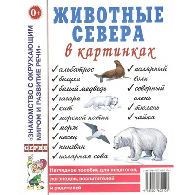 Школа 429 - \"Животные севера\". Рисование в старшей группе... | Facebook