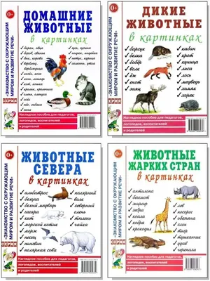 Животные севера: 12 развивающих карточек с красочными картинками, стихами и  загадками для занятий с детьми – купить по цене: 99 руб. в  интернет-магазине УчМаг