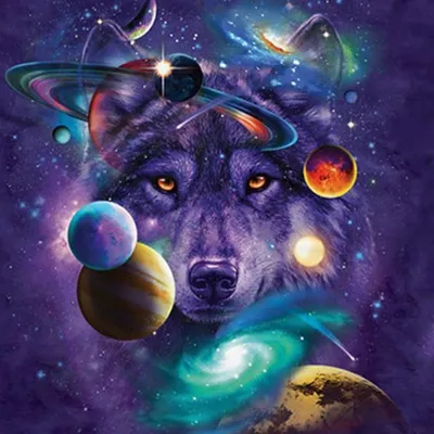 Животные в космосе»