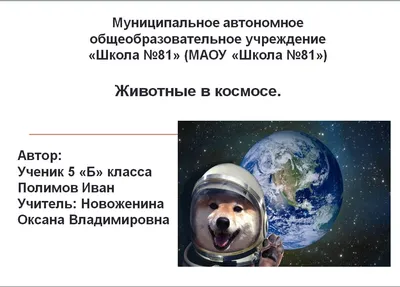 Кто побывал в космосе: люди, животные, растения и роботы