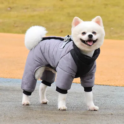 Британский дизайн домашних животных общая куртка зимняя снежная собака  пальто классическая теплая домашняя одежда с карманом