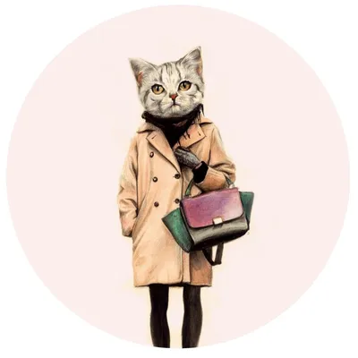 Кошка чистый цвет фона серая полосатая одежда домашнее животное фотография  И картинка для бесплатной загрузки - Pngtree