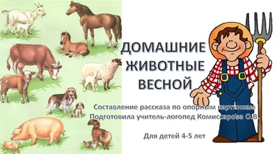 Весна в жизни животных и птиц