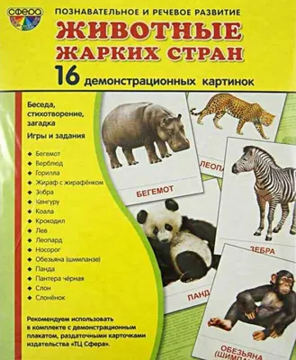 Демонстрационные картинки «Животные жарких стран» - купить в интернет  магазине