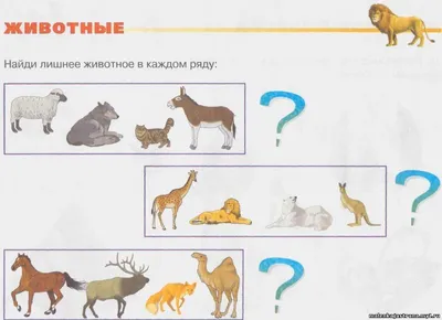 Животные жарких стран в картинках ИЗДАТЕЛЬСТВО ГНОМ 81759527 купить в  интернет-магазине Wildberries